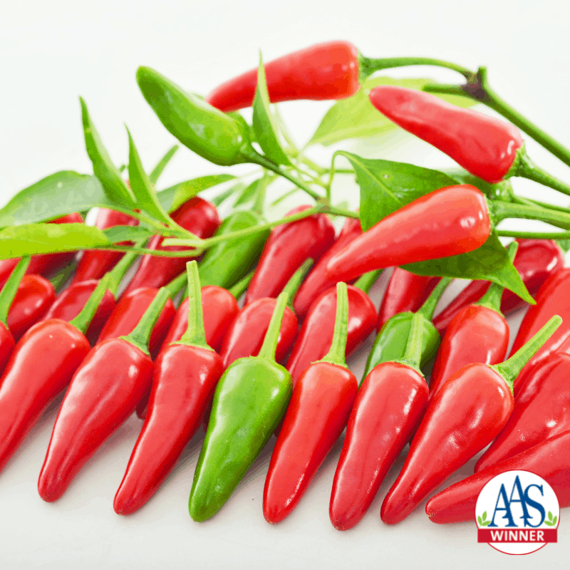 Pepper-Buffy_Logo.png